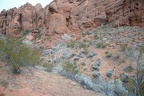 snow canyon 0478 30dec14