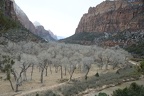 zion national park 0395 30dec14