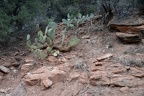 zion national park 0406 30dec14