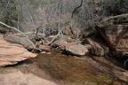 zion national park 0436 30dec14