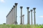 national arboretum 7198 18jul21