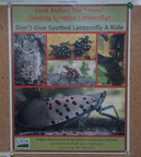 poster virginia arboretum 6980 16jul21