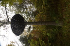 zip-line andy guest park 0118 28oct21