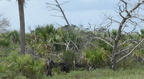 fort pulaski surrounding 8273 15aug21