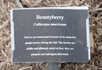 sign coastal discovery museum hilton head 8484 16aug21