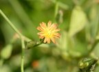unknown wehr 8415 22aug22