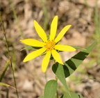 unknown farm 8457 23aug22