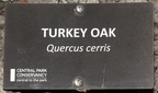sign turkey oak central park new york 1530 11mar22
