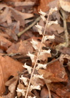 unknown balls bluff 2387 24mar22