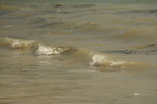 litter masamirey cove 0245 2nov22