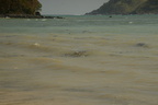litter masamirey cove 0251 2nov22