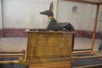anubis cairo museum 7467 1nov23