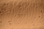 snake track temple of amada 7950 4nov23