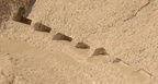 quarry unfinished obelisk 8190 6nov23
