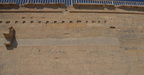 defacement puglogs philae 8098 6nov23