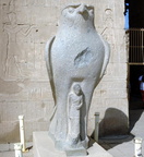 statue of horus temple of edfu 8398 7nov23zac