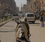 edfu 8382 7nov23