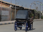 edfu 8370 7nov23