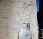 defacement temple of edfu 8398 7nov23zac