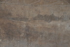 graffiti luxor temple 8984 10nov23