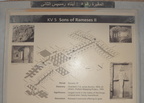 sign dv5 sons of rameses ii valley of the kings 8735 9nov23