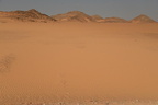 desert wadi el sebou 8048 5nov23