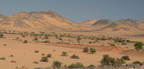 desert wadi el sebou 8049 5nov23zac 1