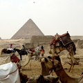 giza 7437 1nov23zac