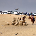 parking lot giza 7410 31oct23zac