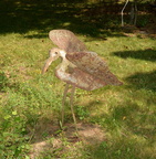 sculpture spectacular sculpture 5696 11jul23