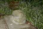 weeds boerner botanical garden 4898 4jun23