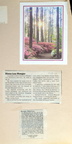 album4 page590 3067 14mar23