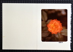album5 page599 3077 14mar23