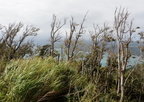wind swept dingalan aurora grotto 0275 31jan24