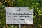sign sirmata cuyapo nueva ecija 0504 3feb24