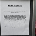 sign corpse flower domes milwaukee 0487 11sep24