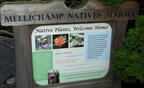 sign mellichamp natives terrace unc charlotte 7525 9aug21