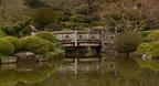 brooklyn botanic garden 2582 1apr22