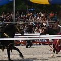 jousting rennaisance fair bristol 3920 2aug25