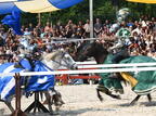 jousting rennaisance fair bristol 3892 2aug25