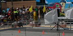 pig races state fair 3797 1aug25