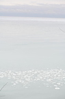 lake michigan grand park 4824 24jan26